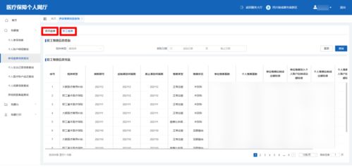 成都醫保網廳使用指南 個人查詢參保信息與辦理業務全解析